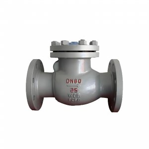 DN50 PN25 介質：甲胺，溫度：80℃止回閥