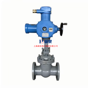  物聯(lián)網(wǎng)智能型閥門電動(dòng)裝置ZB60-24(380)